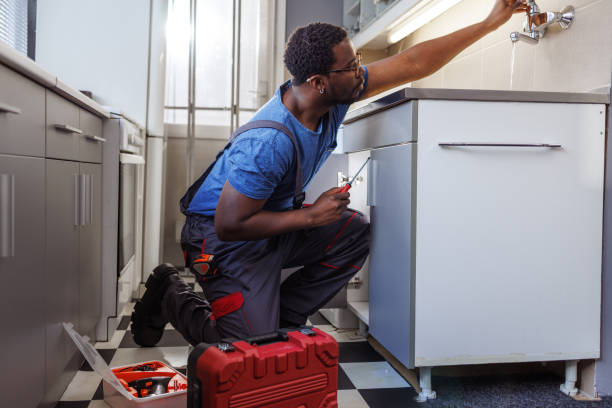  Spring Valley, CA Plumbing Services Pros